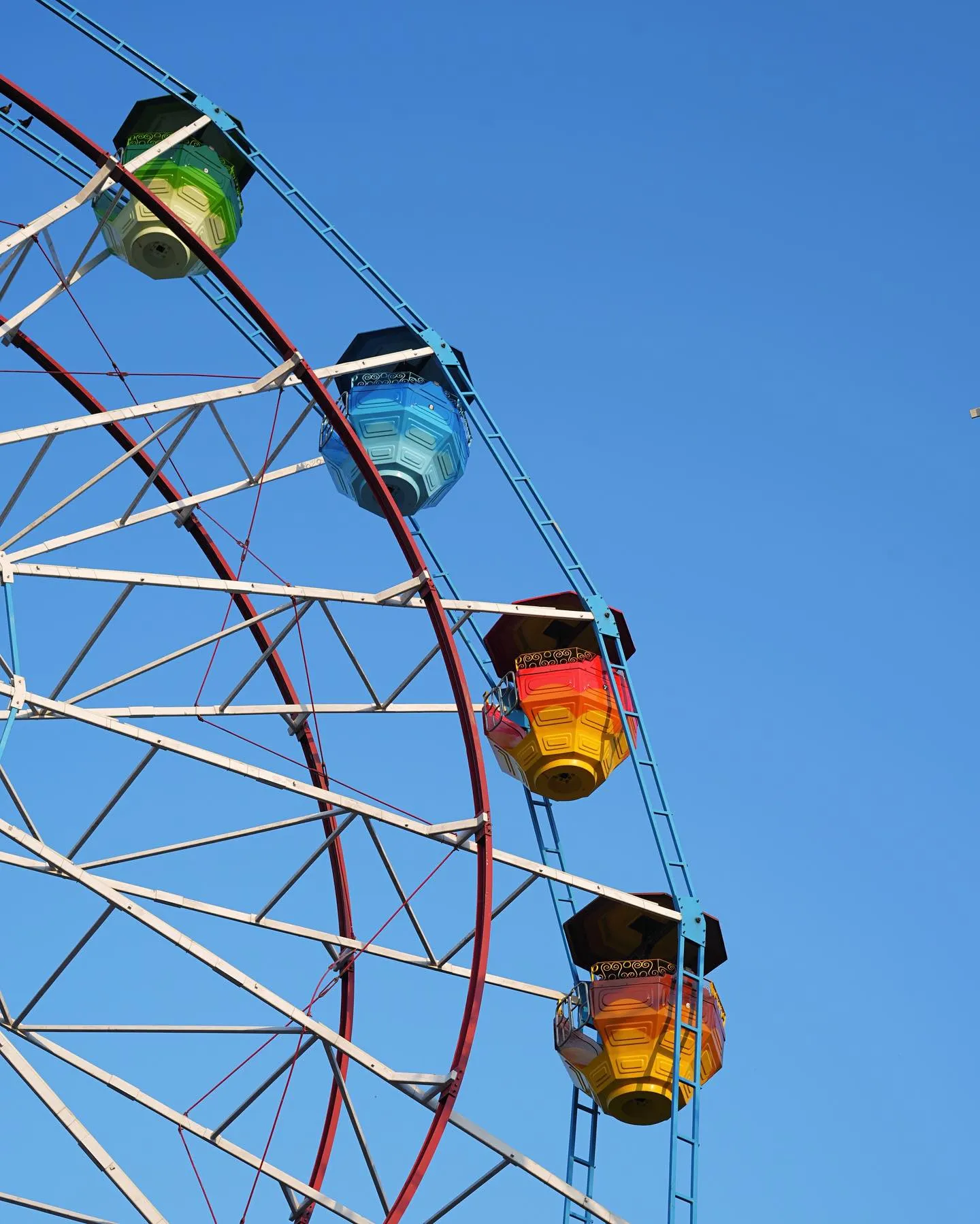 MGM Dizzee World Photos