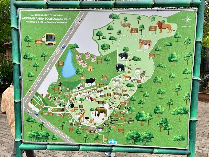 Arignar Anna Zoological Park
