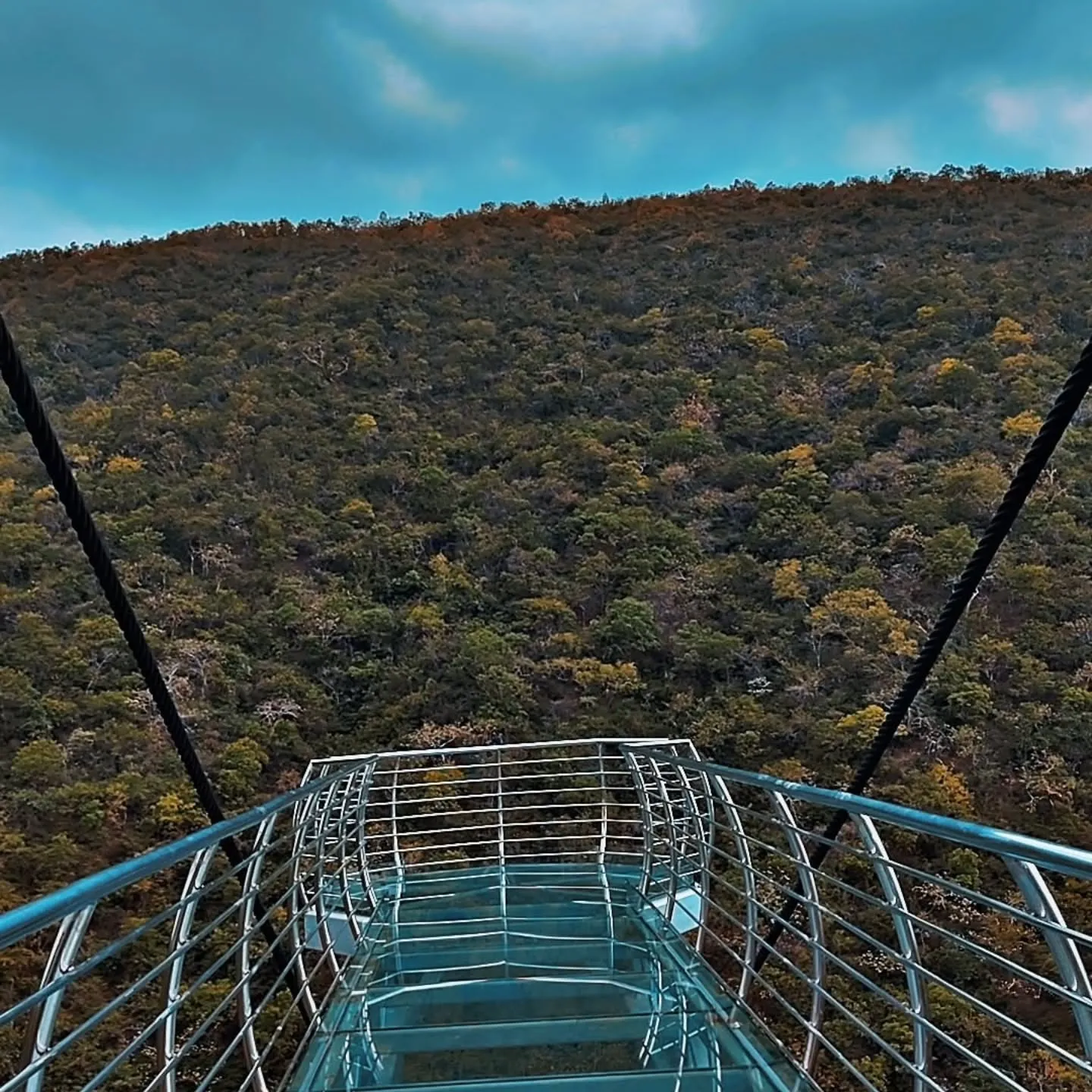 Rajgir Glass Bridge