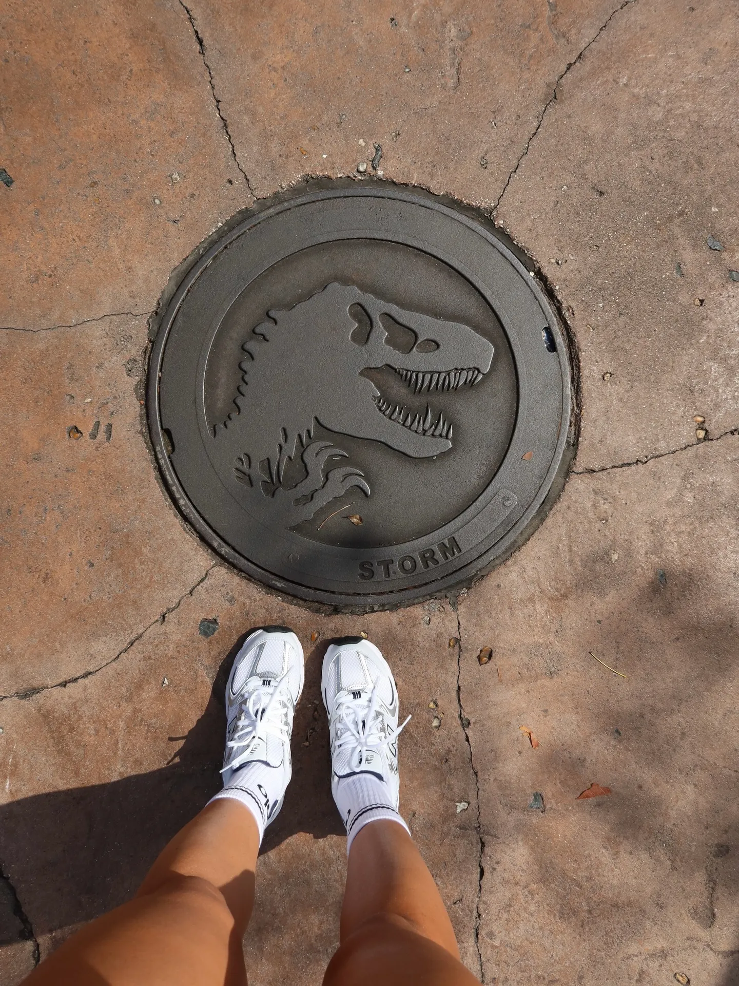 Jurassic Park Sonipat