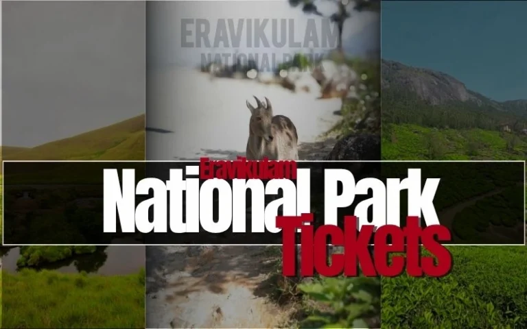 Eravikulam National Park Tickets: Price, Timings & Online Booking 2026 Eravikulam National Park Tickets