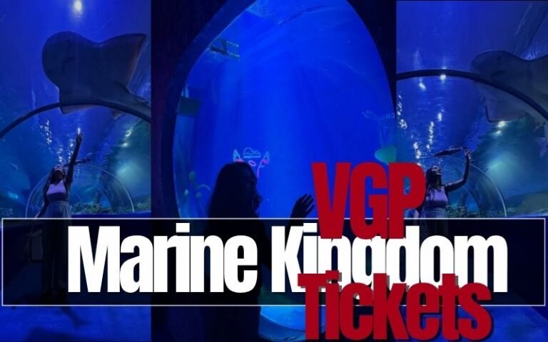 VGP Marine Kingdom Tickets Pricing & Offers: The Complete 2026 Breakdown
