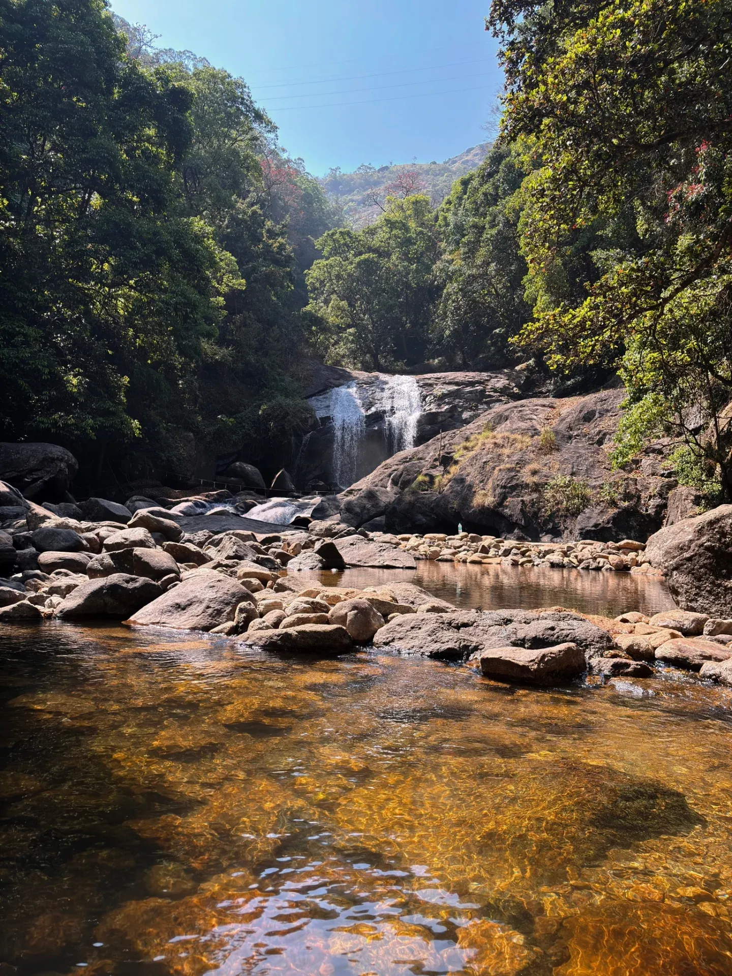 Eravikulam National Park Photos