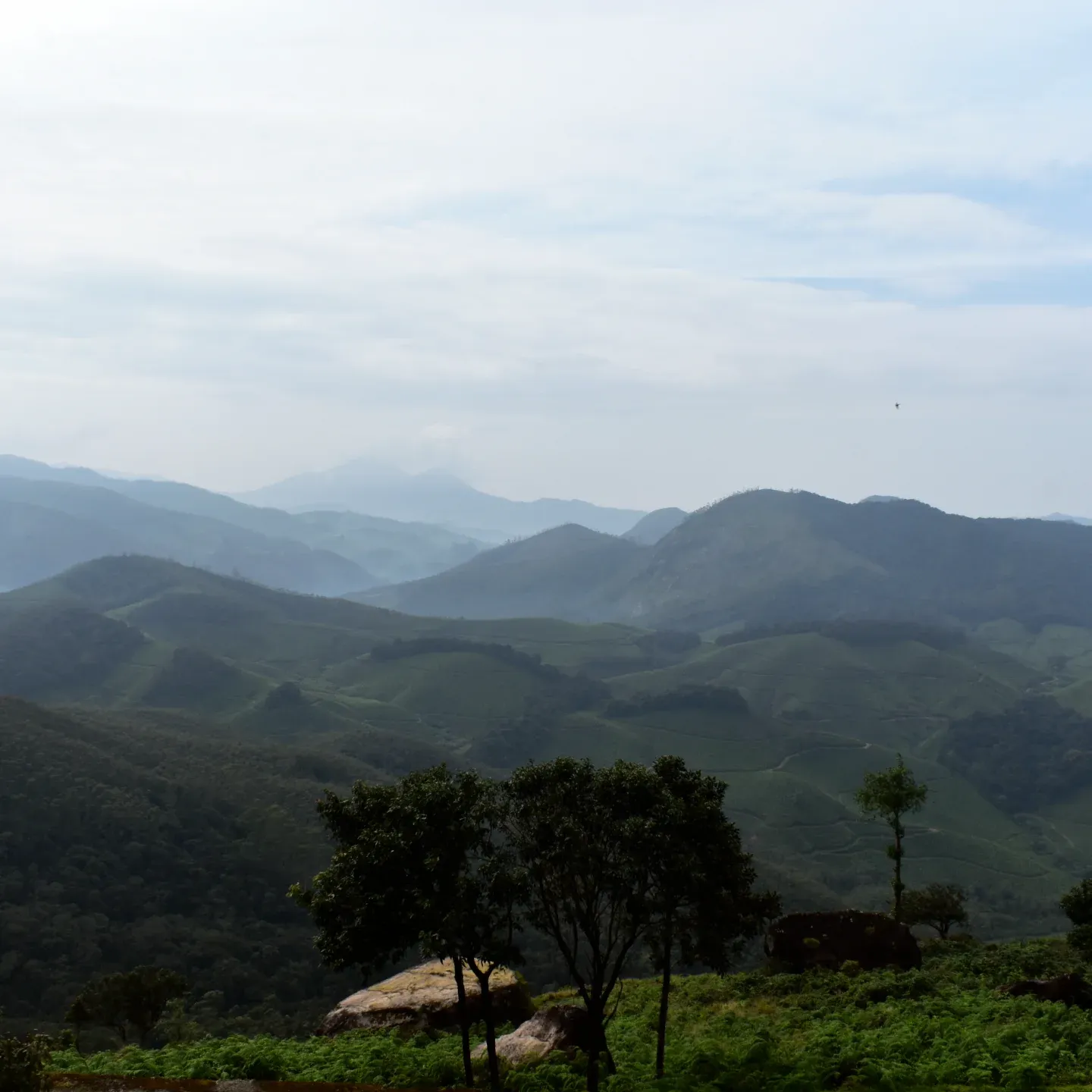 Eravikulam National Park Munnar