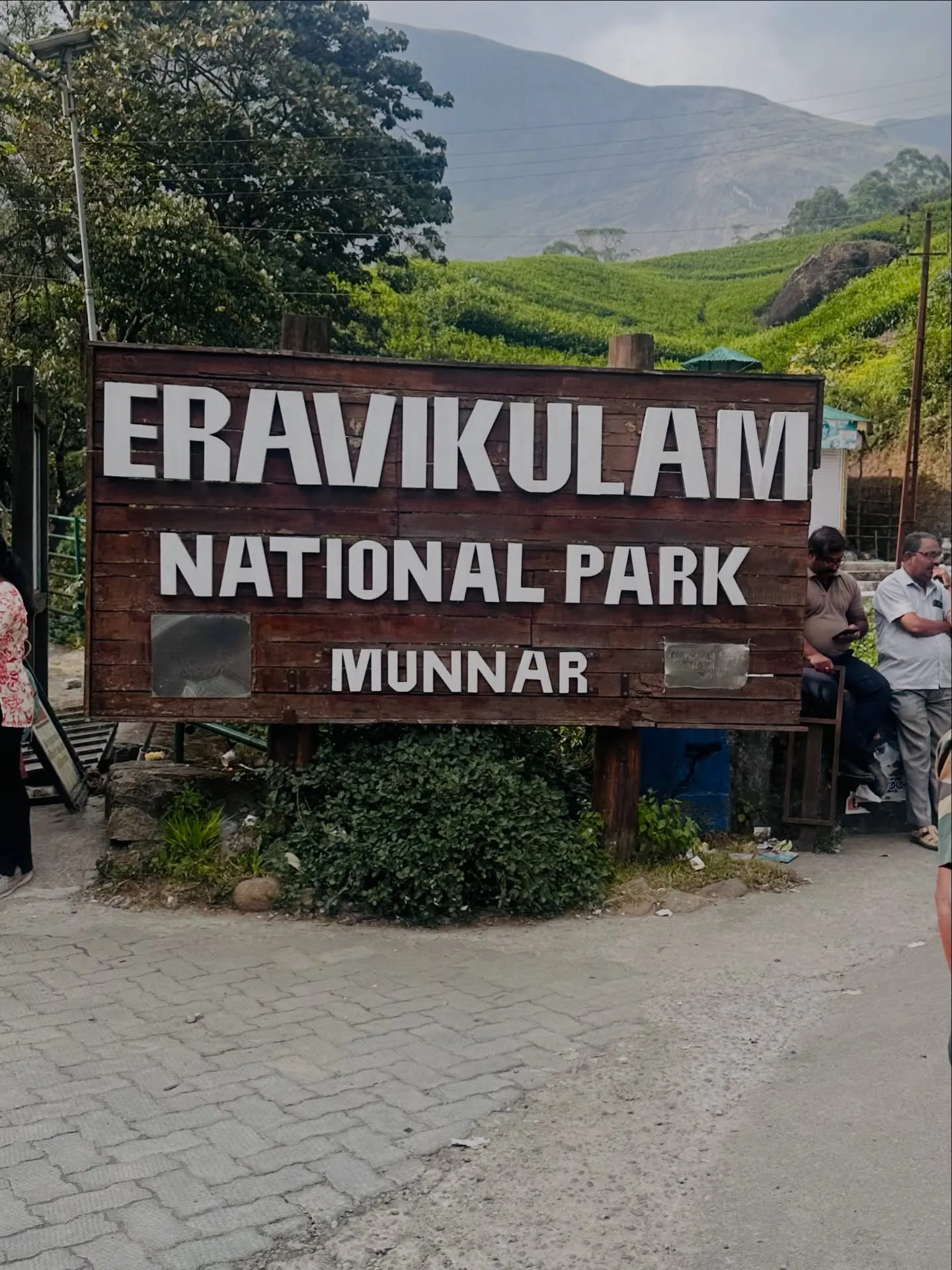 Eravikulam National Park